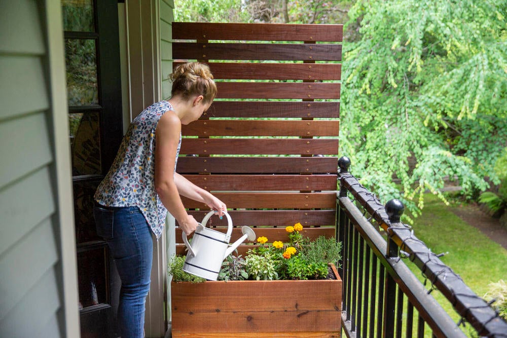 DIY Outdoor Screens and Backyard Privacy Ideas • The Garden Glove