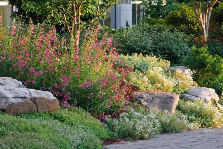 Stunning Rock Garden Ideas for Landscaping on a Slope • The Garden Glove