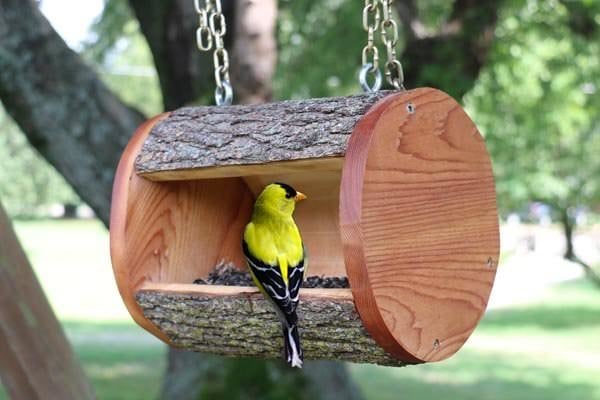 21 DIY Bird Feeders That Actually Look Amazing! • The Garden Glove